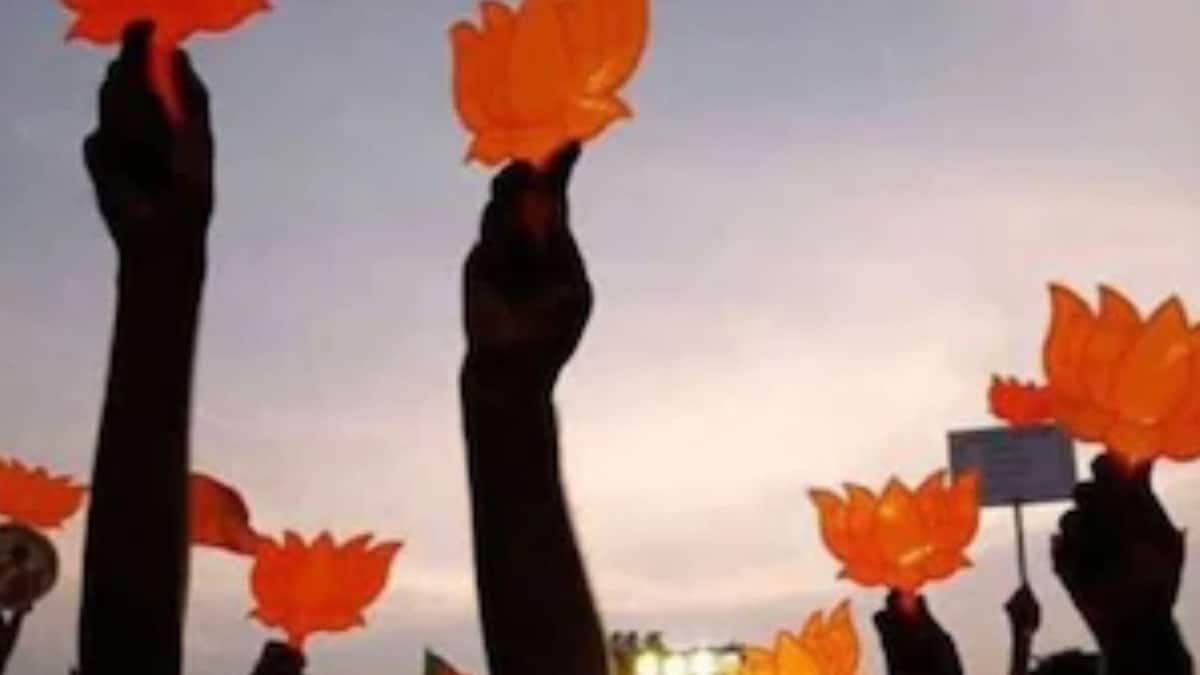 Haryana Civic Polls: BJP-JJP Combine Bags Many Seats as Poll Results for Most of 46 Municipal Bodies Declared