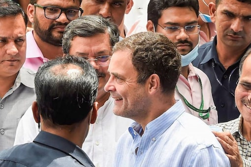 Several senior Congress leaders have insisted on backing Rahul Gandhi to take over as the president of Congress. (File PTI Image) 
