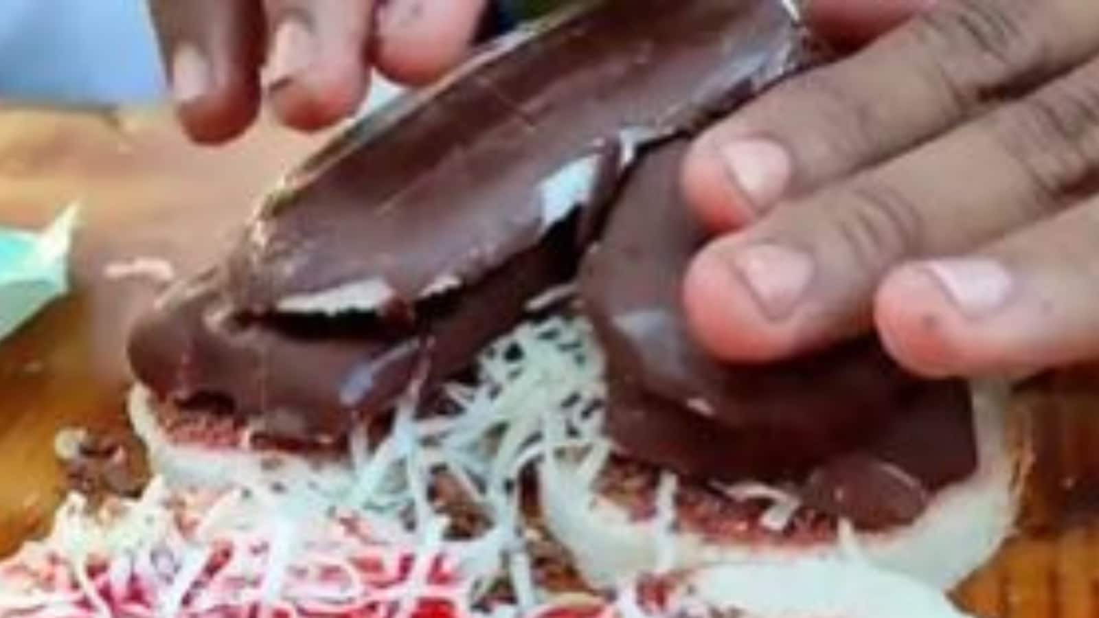 Gujarat Stall Sells Sandwich Stuffed with Cheese and Chocobar Ice Cream