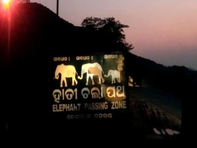 The scheme is being implemented for the first time in the Rasasingh area under the Dhenkanal Sadar Range in the elephant-prone area. (News18)