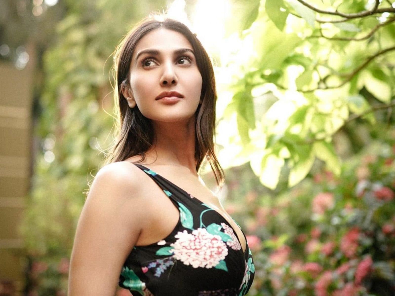 Kriti Sanon Xxx Real Bikini - Vaani Kapoor To Play a Porn Star Look-Alike In Her Upcoming Movie? Here's  What We Know - News18