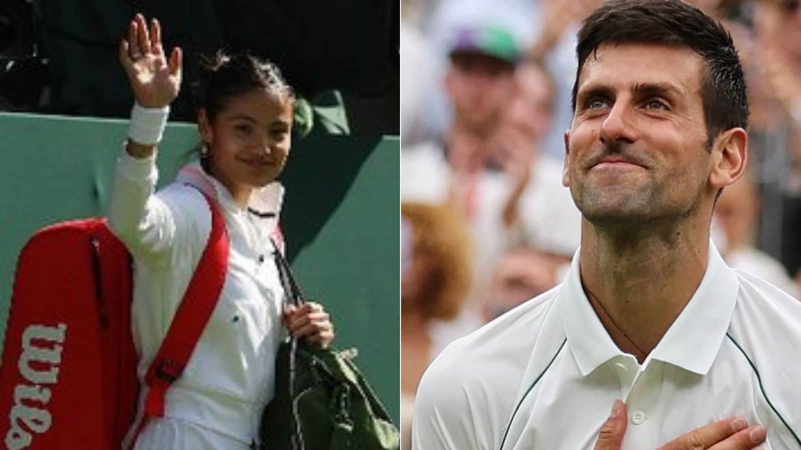 Wimbledon 2022, Day 3 Schedule Novak Djokovic Takes Centre Court; Raducanu, Murray Also in Action