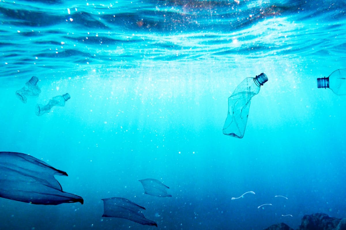 World Oceans Day 2022: Why Is Plastic Waste A Problem?