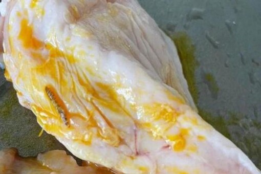 Woman Discovers Worm In Chicken Breast From Delivery Service - News18