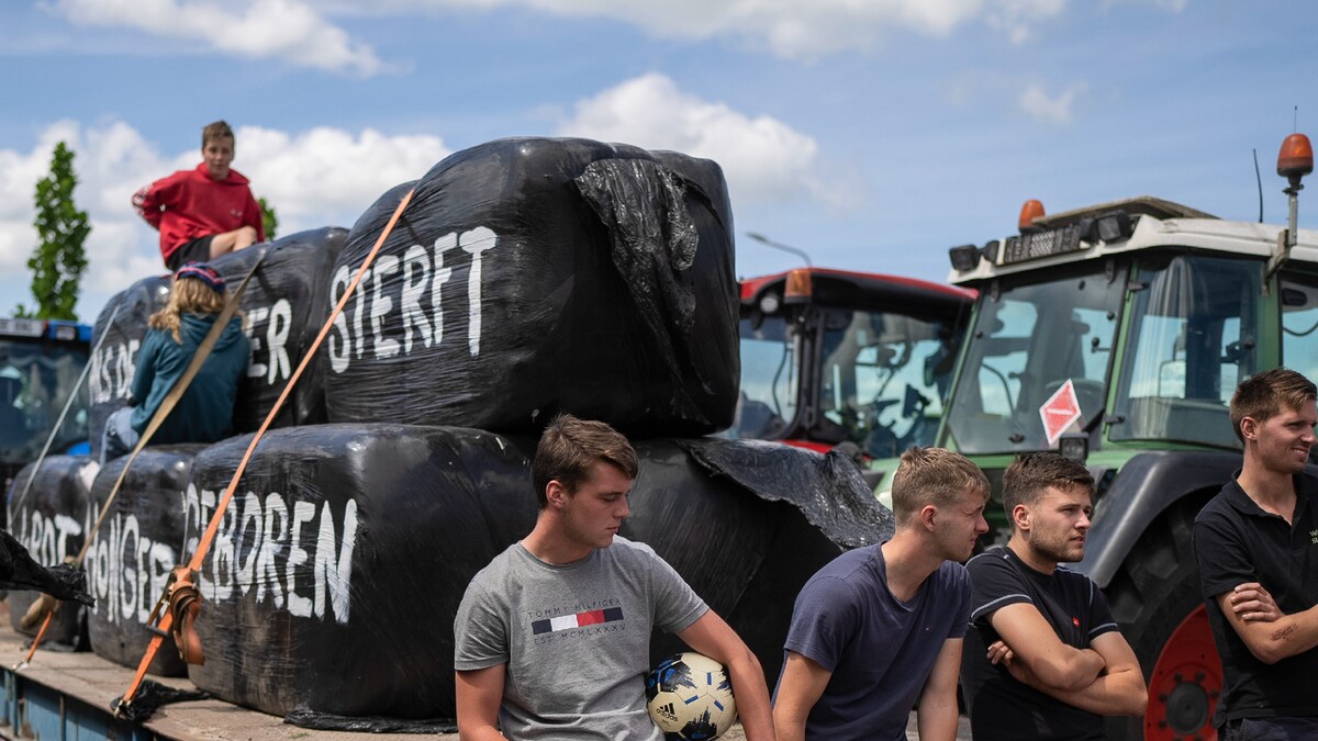 Dutch Farm Protests: Govt Plans To Cut Down On Emissions Faces Fierce Backlash