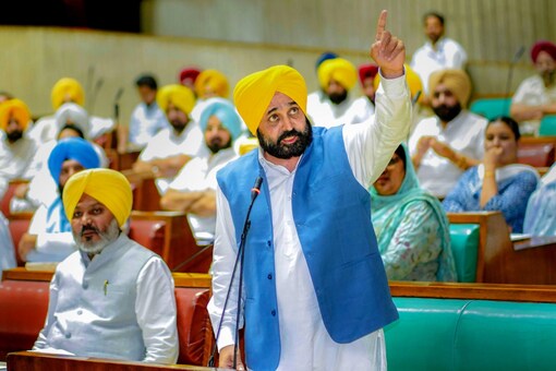 To make matters worse for the Mann government are frequent resignations of the top legal officers. Just over four months after he was appointed, senior advocate Anmol Rattan Singh Sidhu submitted his resignation from the Advocate General’s post. (PTI File)