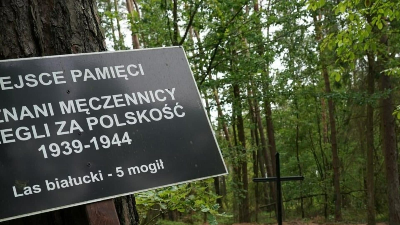 Szczątki 8000 ofiar nazistowskich wojen odnalezione w Polsce