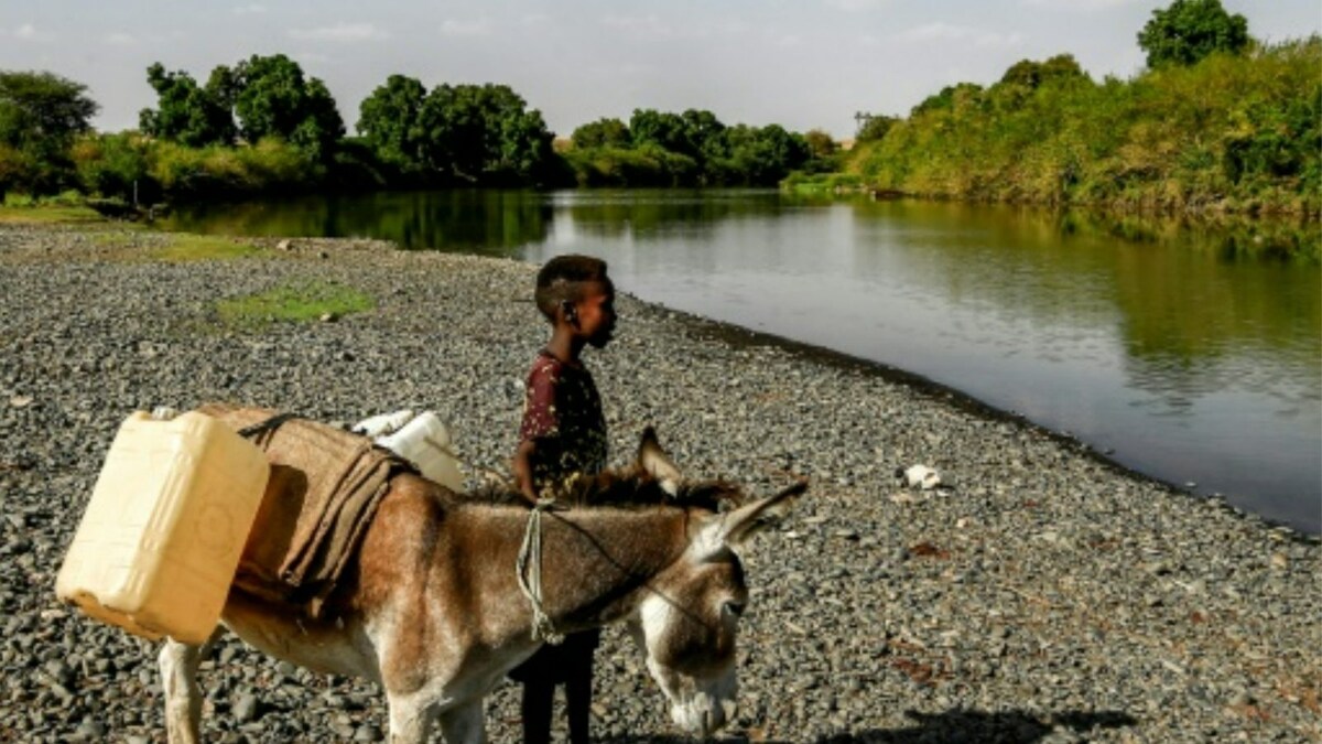 Amnesty Urges Probe Into 'horrific' Ethnic Massacre in Ethiopia That Killed Over 400 Amhara Civilians