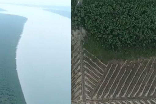 In the clip, the Bhitarkanika wetland area is seen with a detailed pattern of channels that resembles the skeletal structure of a fish. (Credits: Twitter)