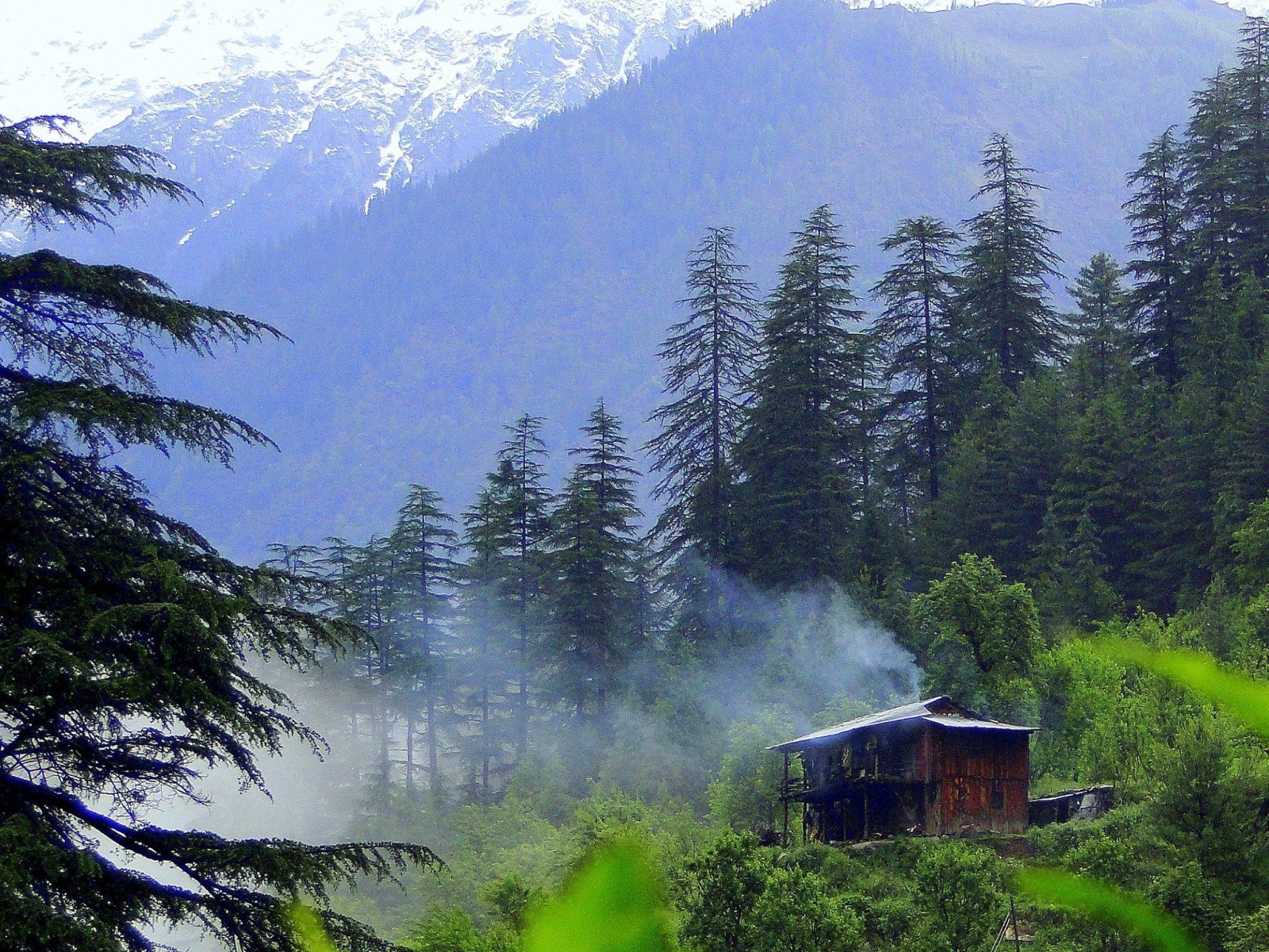 Himachal Heritage Village - RavenousLegs