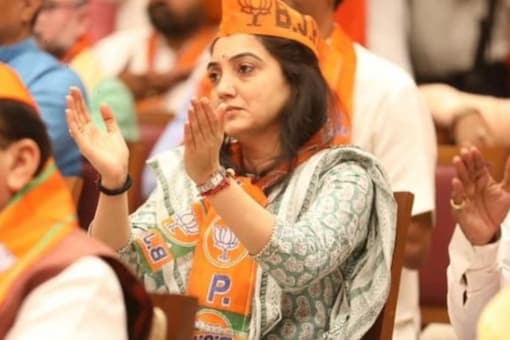 Coming down heavily on the Bharatiya Janata Party leader, the SC-bench further said that she is also responsible for the unfortunate incident in Udaipur. (File photo: Facebook)