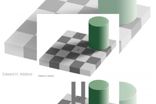 This Checkerboard Optical Illusion May Rack Your Brain - News18
