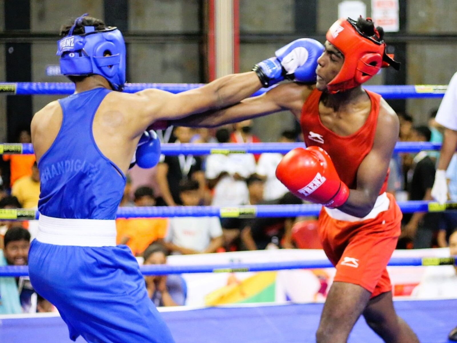 Information About Boxing Definition, History, Rules Types, 48 OFF