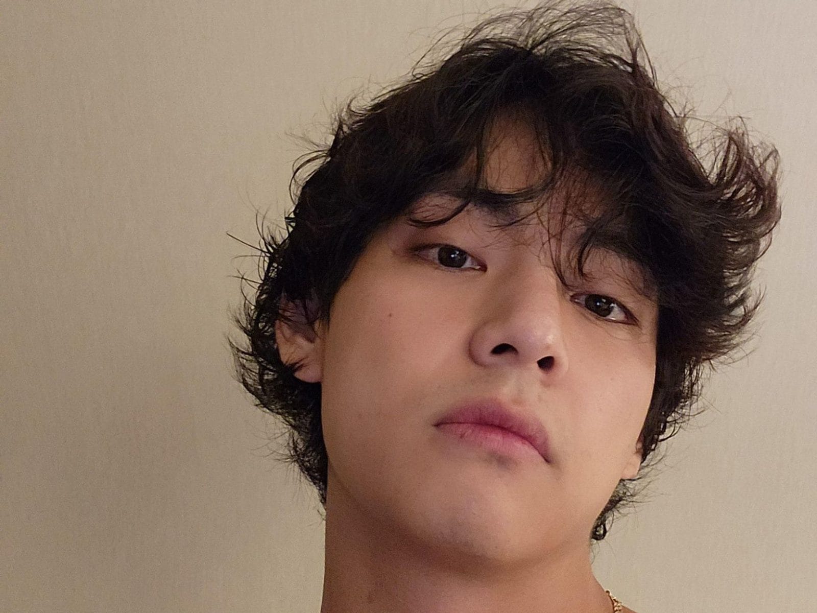 BTS: Kim Taehyung Goes Shirtless To Wish Fans On ARMY Day, Fandom Wasn ...