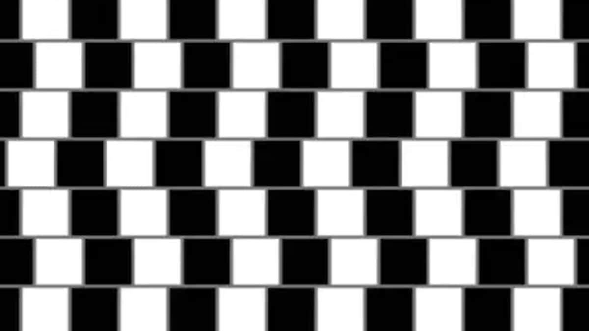 Optical Illusion: Are Horizontal Lines Parallel or Sloping Downwards?