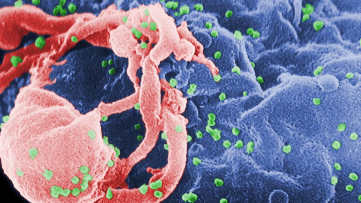 AIDS Conference in Canada: Fourth Person 'Cured' of HIV, But is a Less Risky Cure in Sight?