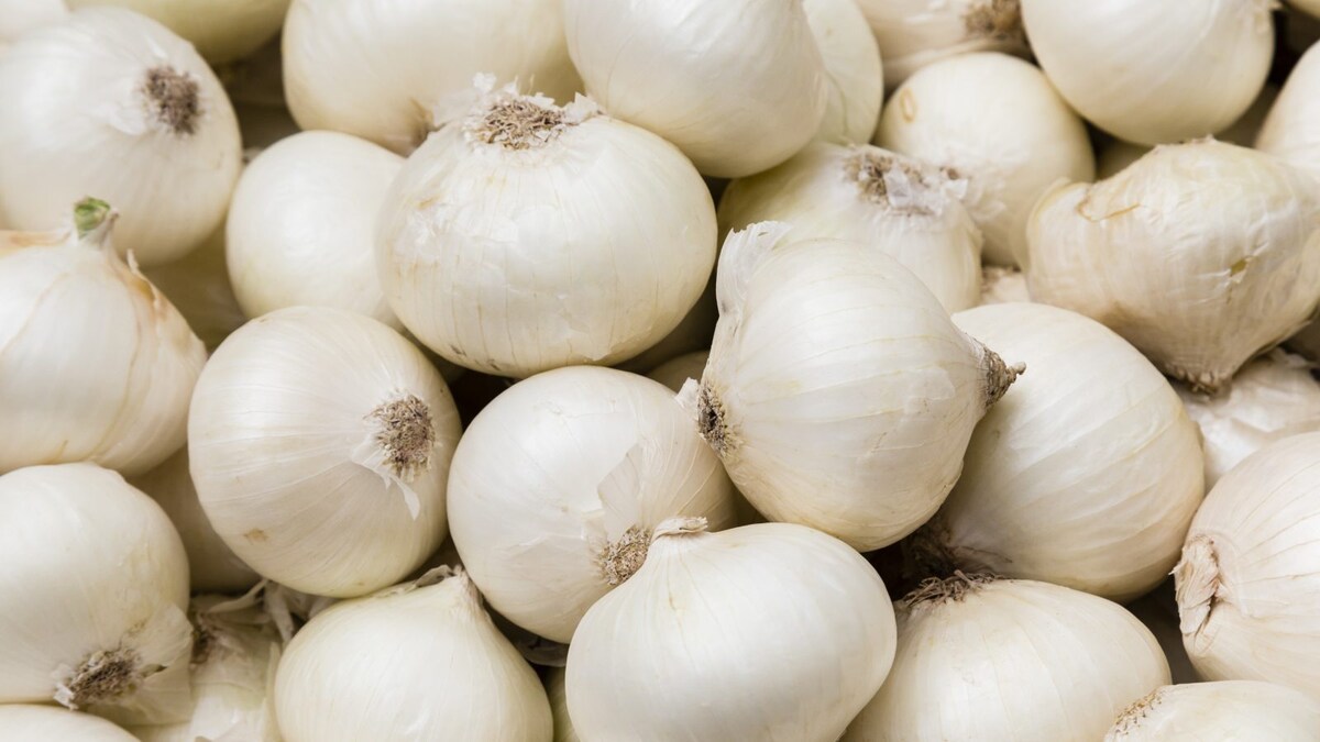 Boosting Immunity to Healing Infections; Check Out Some Impressive