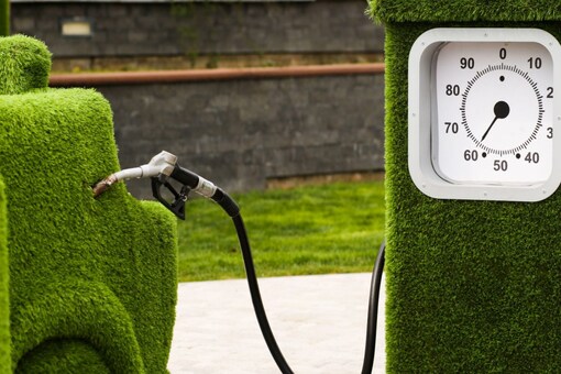 World Biofuel Day: The Importance of Biofuels in the Future