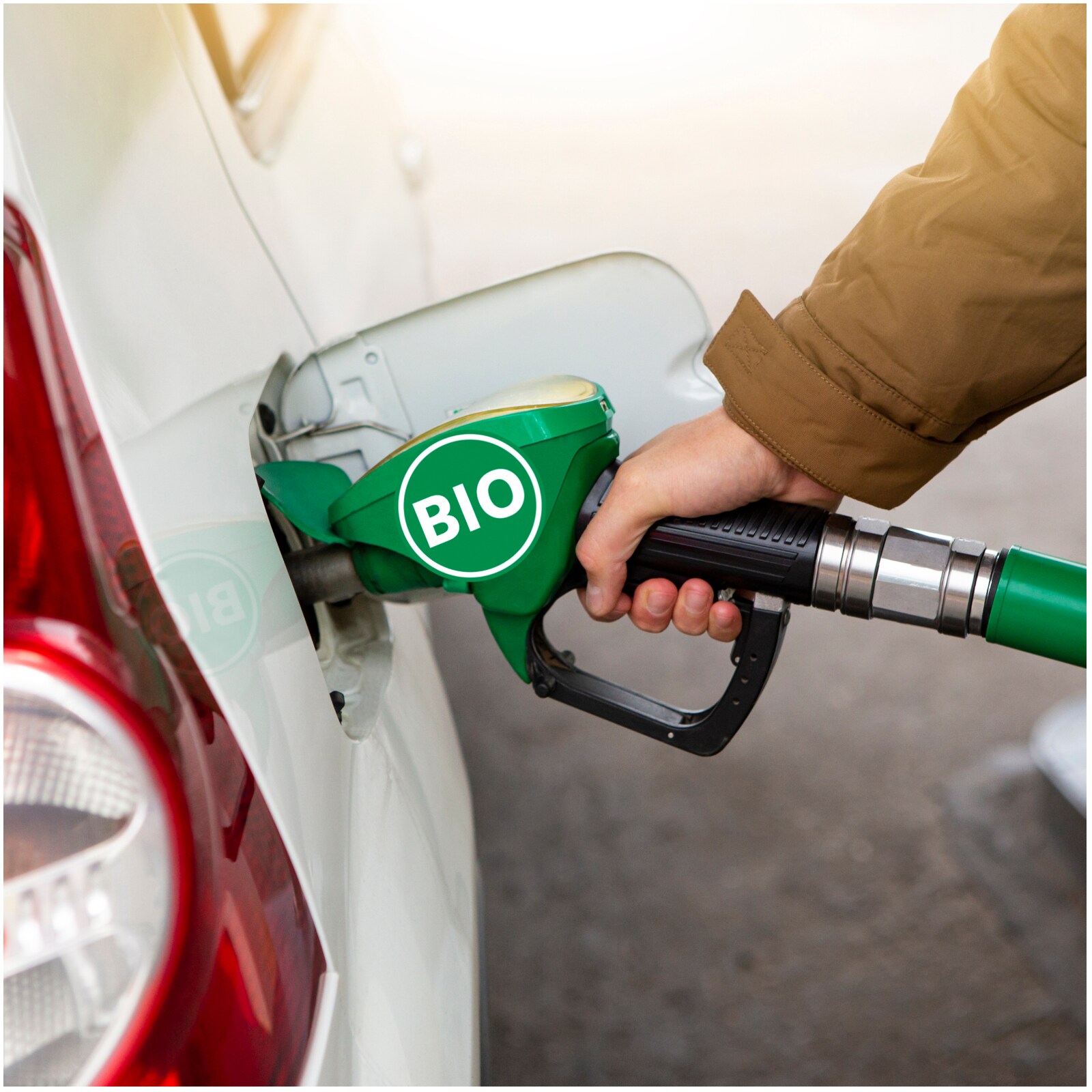 Biofuel News Latest News and Update TrendDekho