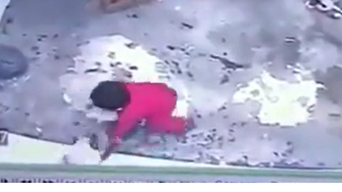 WATCH 'Hero' Cat Saves Toddler From Falling Down the Stairs News18