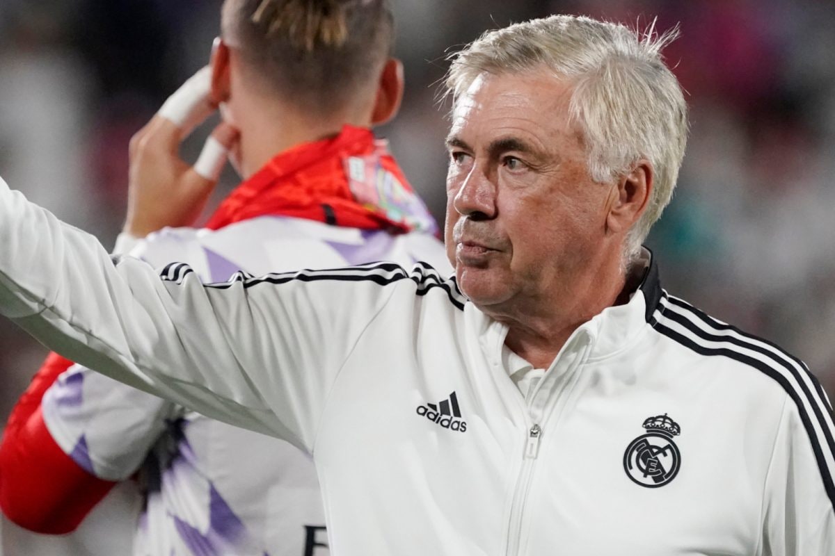 WATCH| Real Madrid Manager Carlo Ancelotti's Reaction After Rodrygo ...