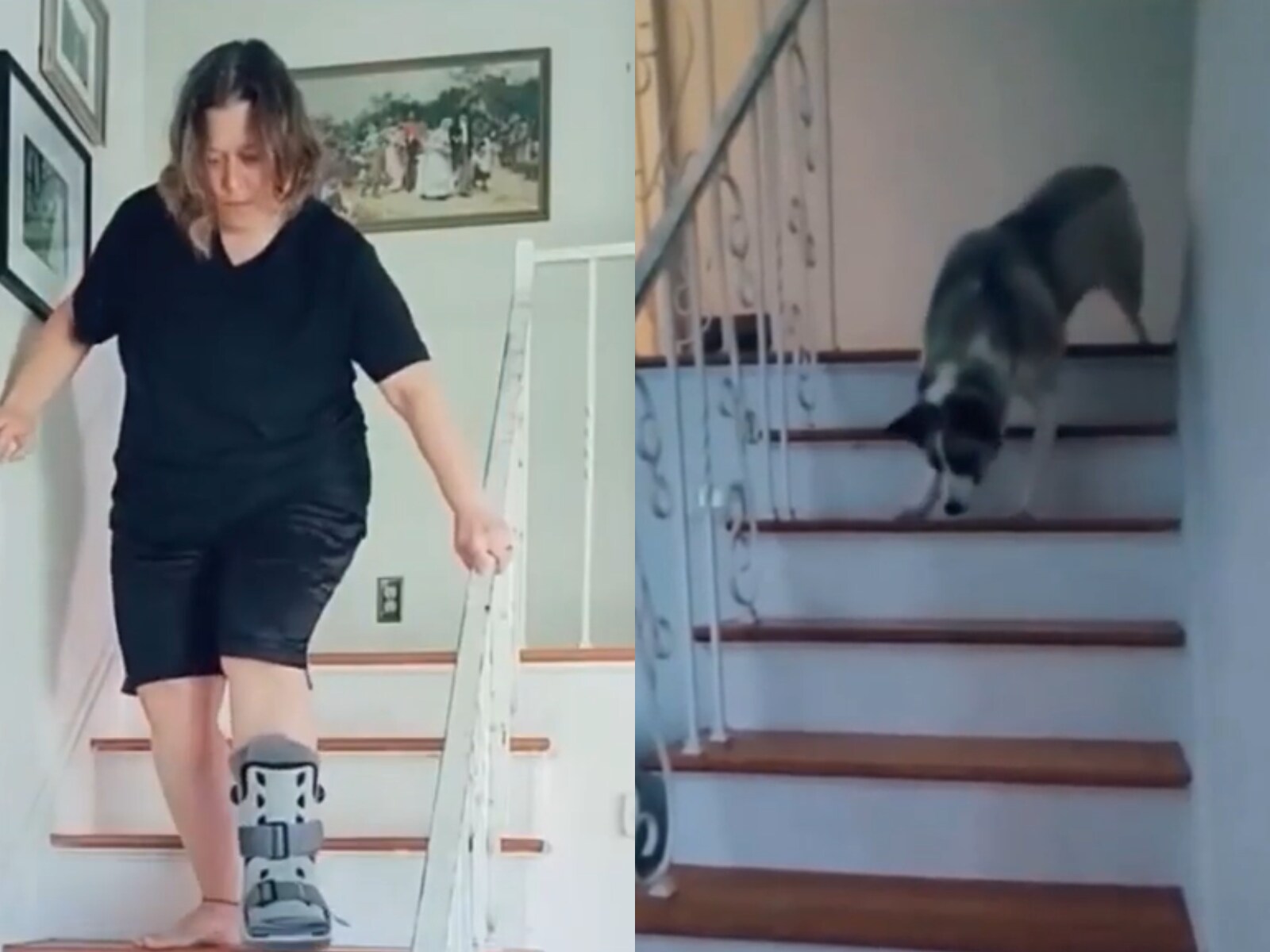 how to help a dog down the stairs