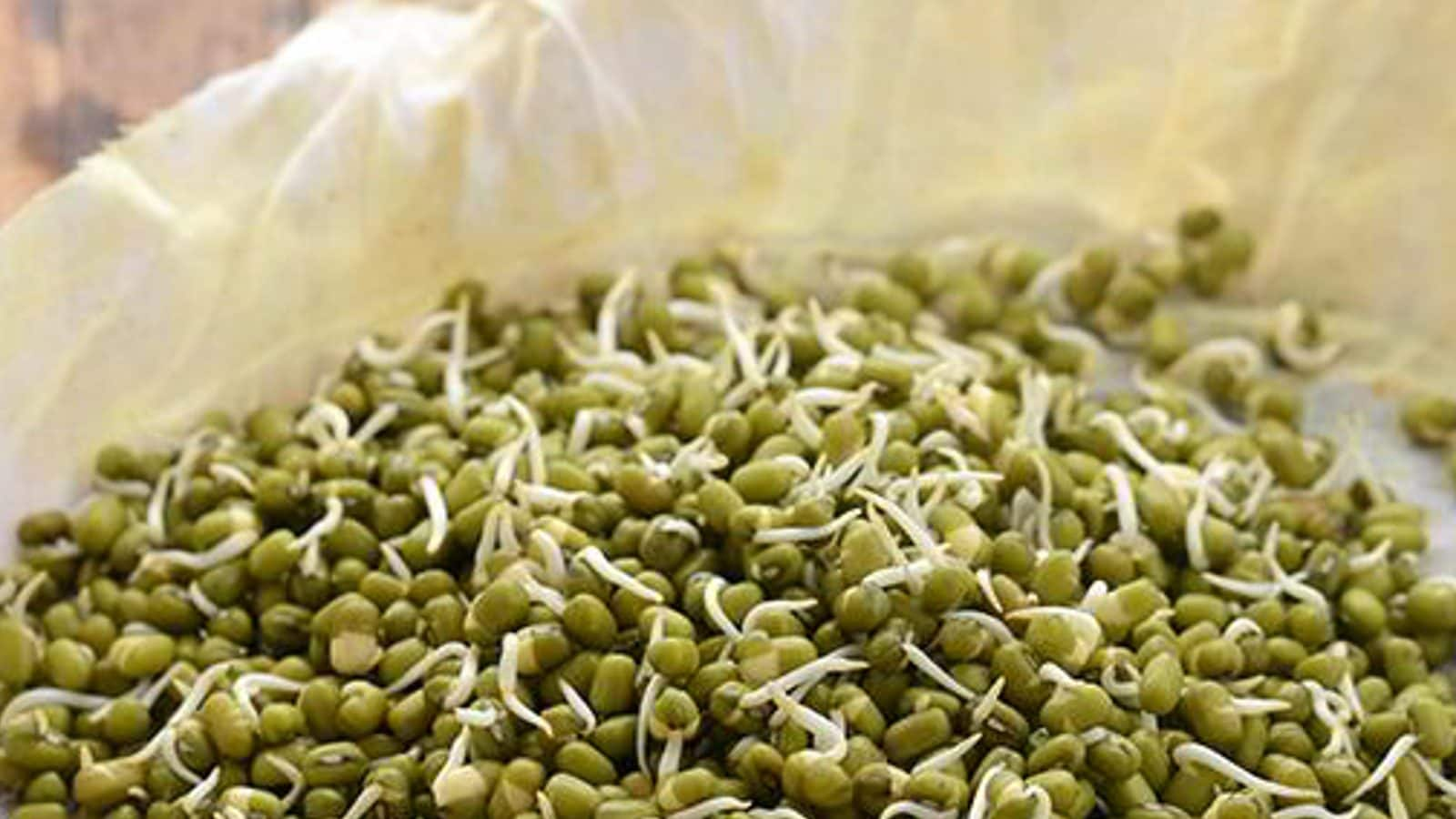 health-benefits-of-moong-sprouts-news18