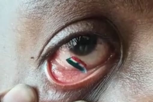 He painted the miniature of the national flag on a very thin cloth-like film on the white embryo inside the egg shell and adhered it to the sclera on the eye, with hours of concentration. (Credits: News18)