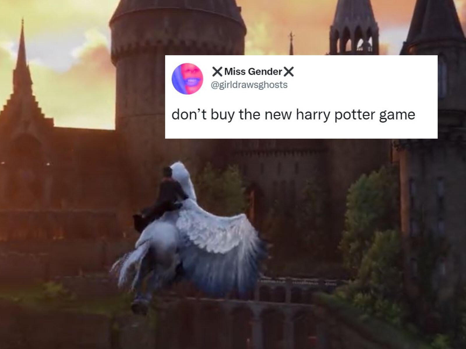 The new Harry Potter game is a hit. Here's why some trans gamers