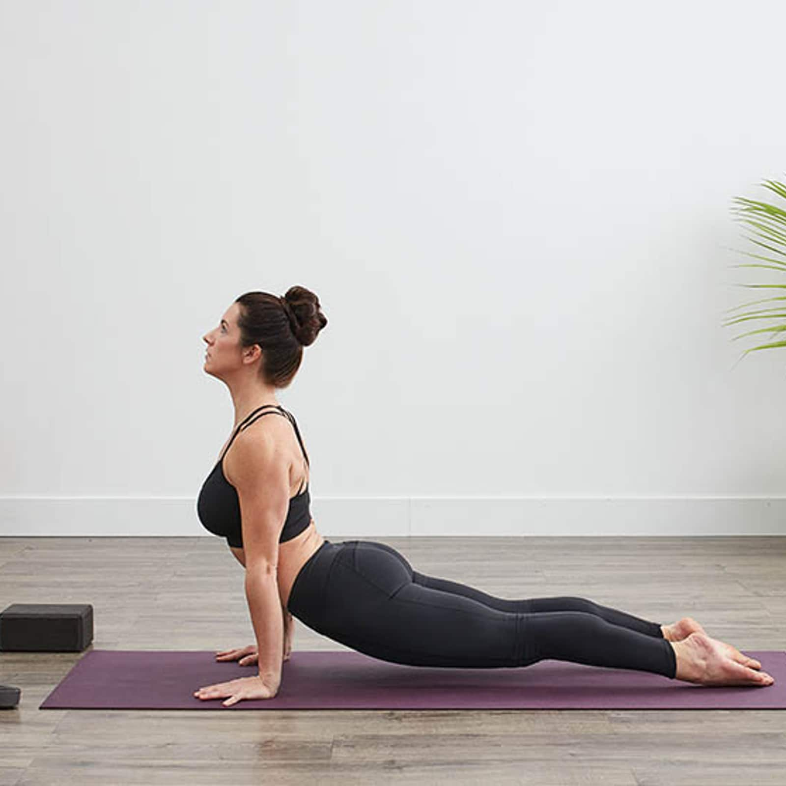 Urdhva Mukha Shvanasana