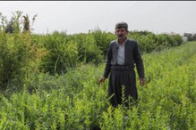 7 Apps To Track And Regulate Your Carbon Footprint In 2023