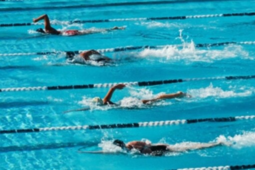 Swimming Representational Image (IANS) 