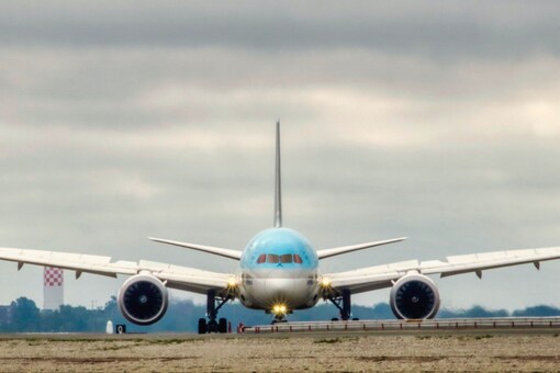 Technical difficulties and glitches have been far too common in airlines across the globe, despite co-pilots (Credit: Yuval Zukerman, Pixlr)