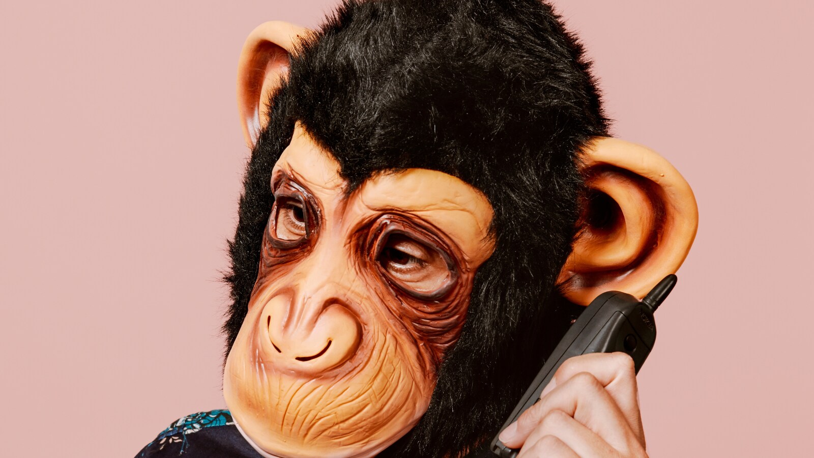 Monkey grabs phone, calls 911 at California zoo