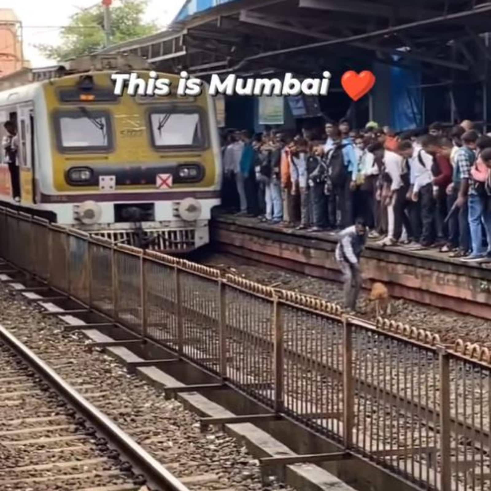 Spirit of Mumbai: Man Saves Dog on Railway Track as Train Approaches