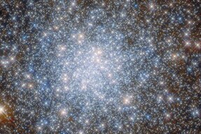 NASA's Hubble Space Telescope Captures Stunning Pic of Star Cluster Bound by Gravity