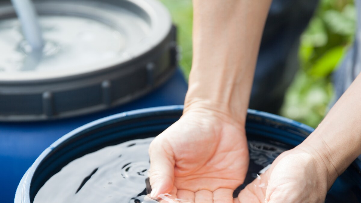 Rainwater Unsafe to Drink Due to Chemicals Study News18