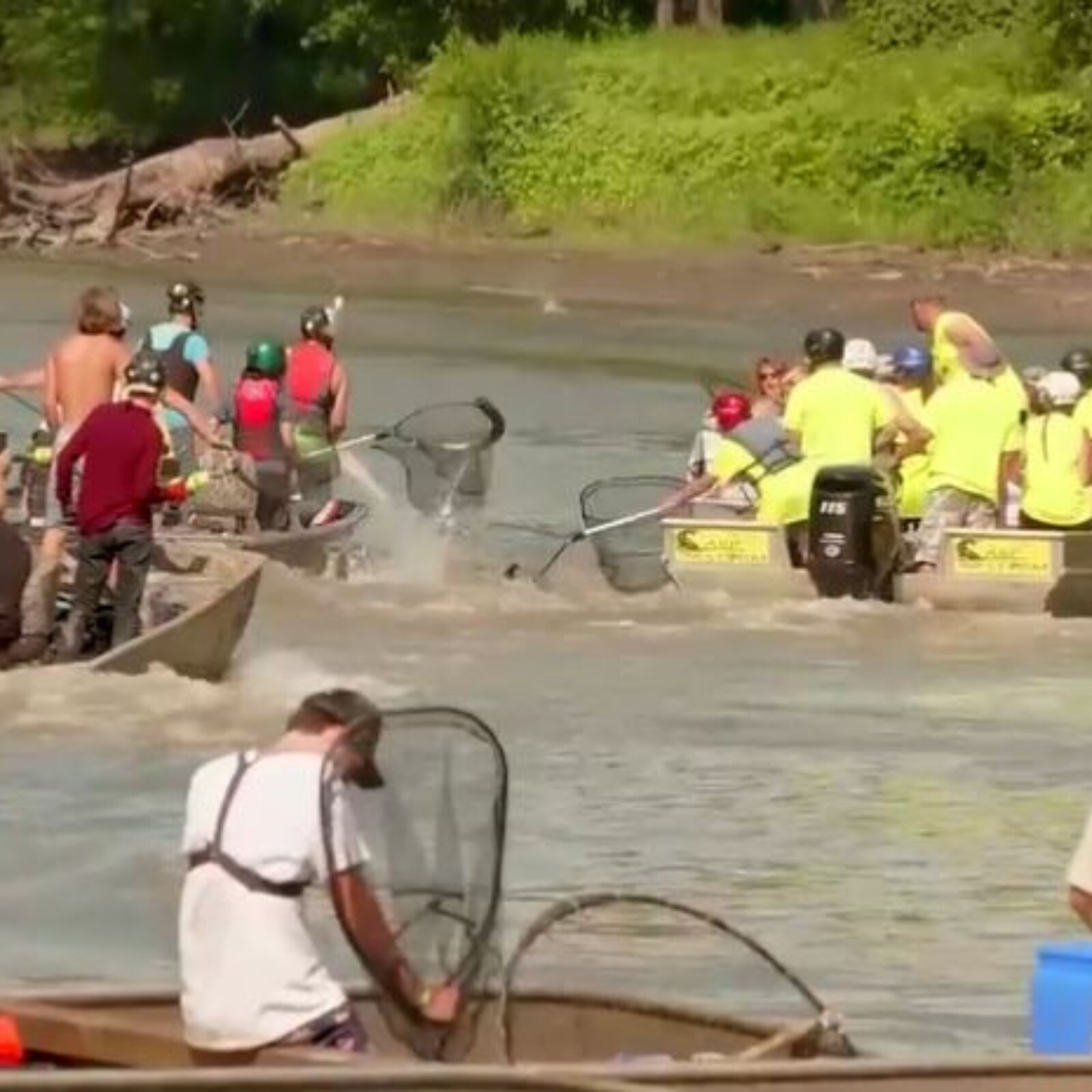 WATCH: Redneck Tournament Takes Off as Fish Jump Like 'Popcorn' From Illinois River