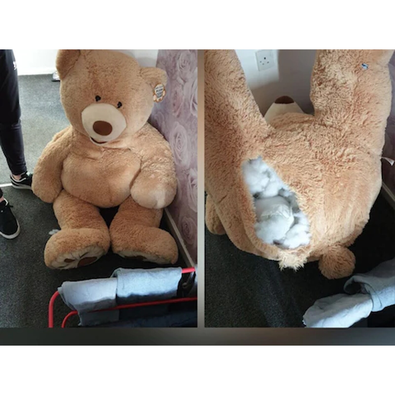UK Car Thief Hiding Inside A Giant Teddy Bear Baffles Police