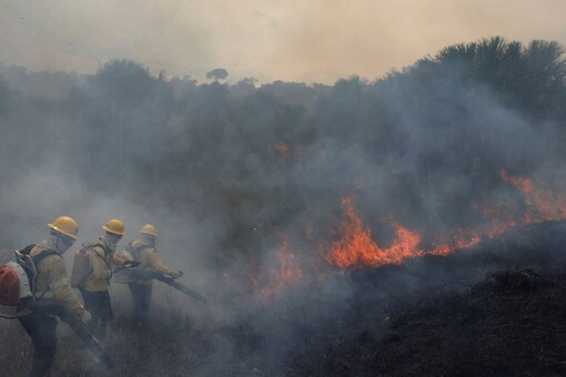 Firefighters attempt to control hot points during a fire at Brazil's Amazon rainforest, in Apui, Amazonas state, Brazil. (Image: REUTERS/Bruno Kelly/File)