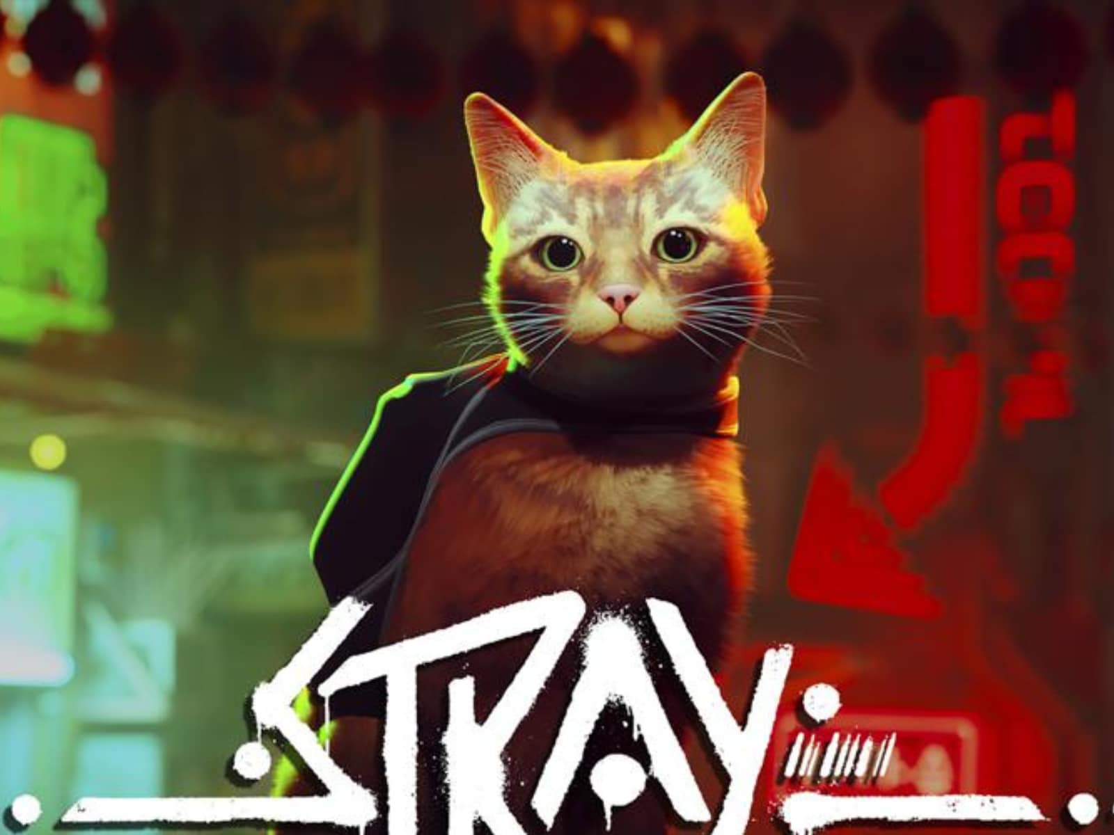 ＜BB.Kong＞STRAY CATS UNRELEASED DEMO Stray' is the cat's meow | Aug. 3-9, 2022 | Real Change