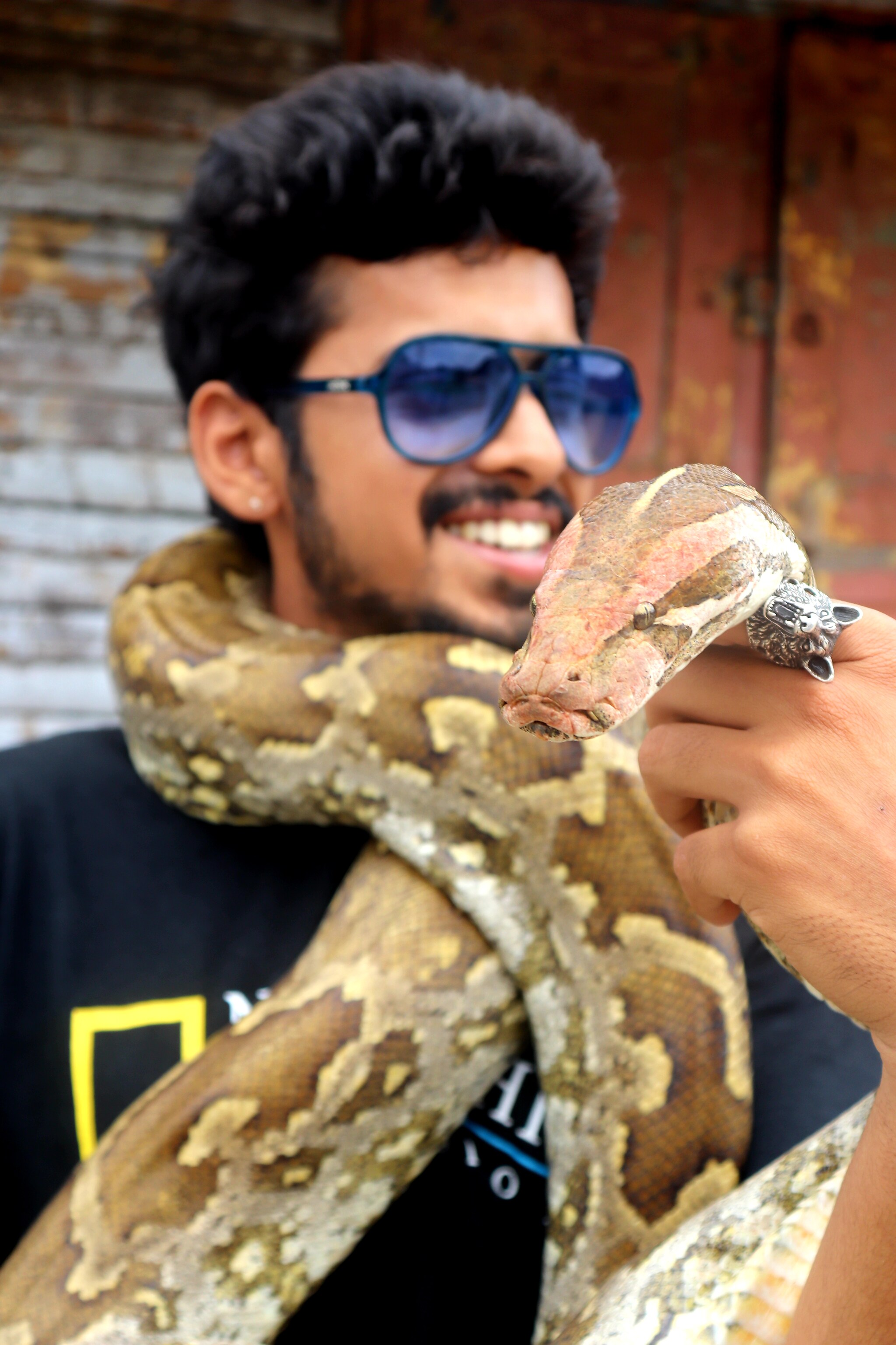 Weekend Special | Wake Up & Smell the Venom: Snakebite Kills An Indian ...