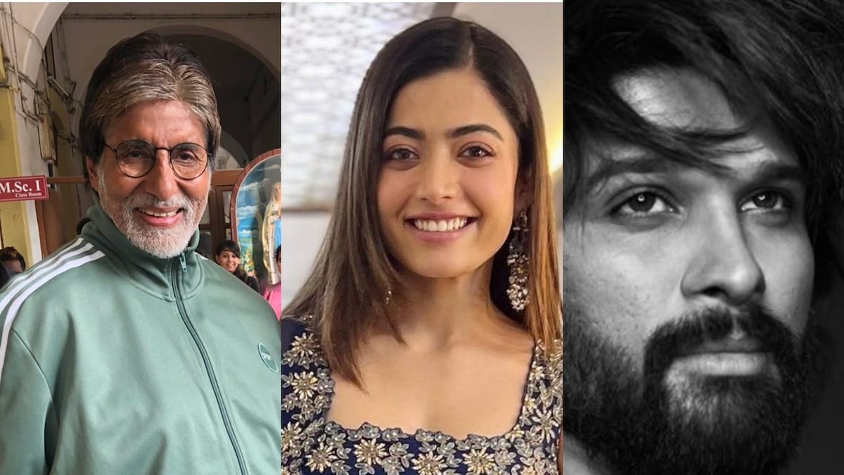 Rashmika Mandanna On Working With Amitabh Bachchan In Goodbye and Allu Arjun In Pushpa: 'Living My Dream'