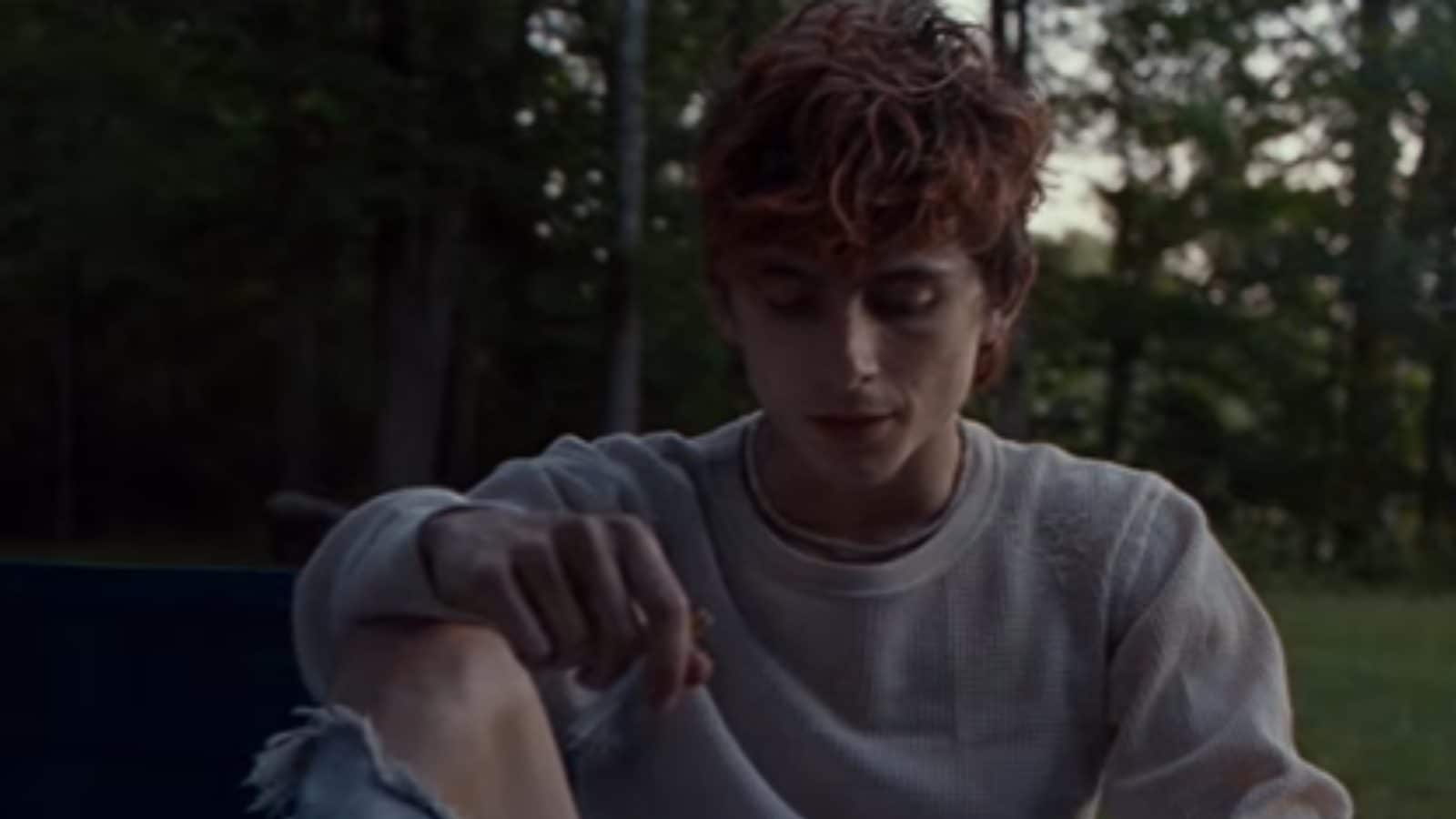 Venice film festival timothee chalamet s bones and all plots