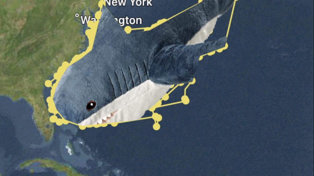 Great White Shark Fitted With GPS Tracker Draws 'Selfportrait' in