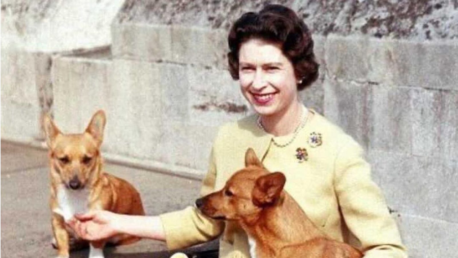 Did You Know Queen Elizabeth Chose Kindness Over Cruelty by Banishing Fur from her Royal Wardrobe?