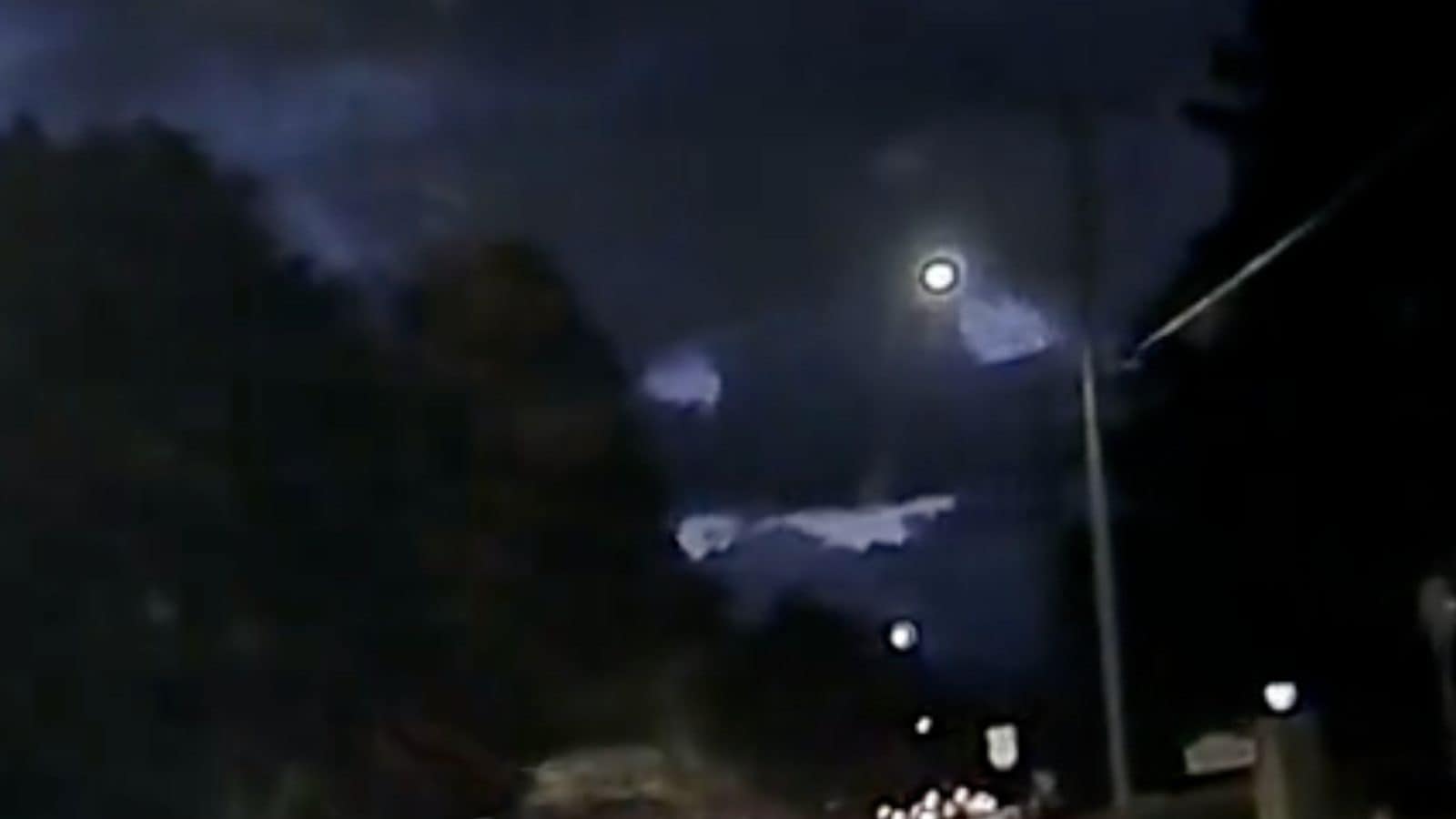 WATCH Deer Jumps Over Moving Car, Netizens Call it a 'Narrow Escape'