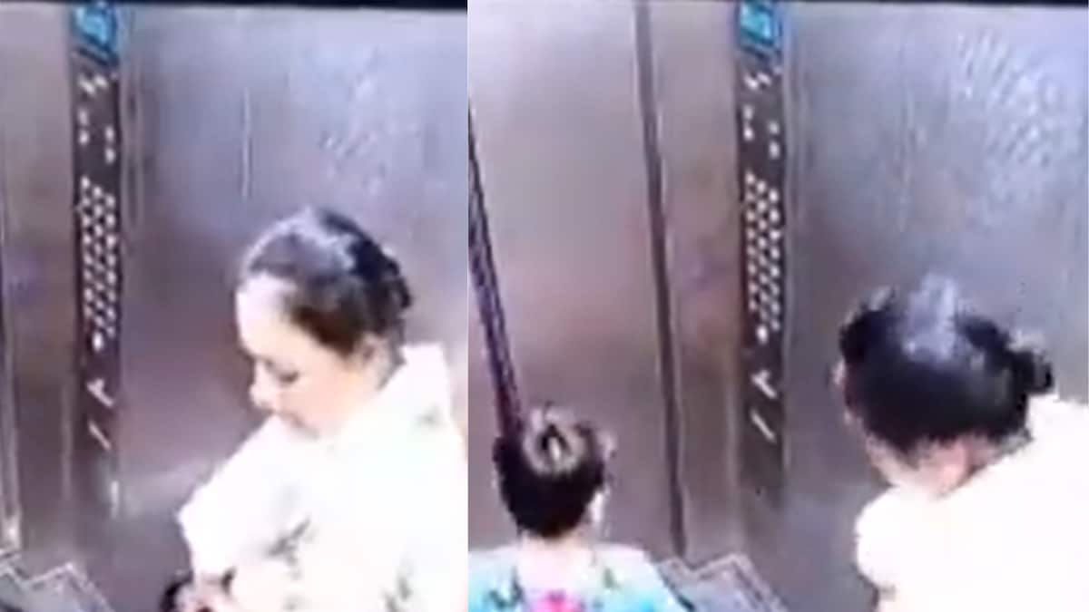 WATCH: Pet Dog Bites A Child in Ghaziabad Housing Society Lift, Owner Looks On