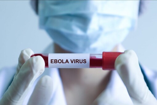 Fever, fatigue, sore throat, muscle pain, and headache are the initial symptoms of Ebola. (Shutterstock)