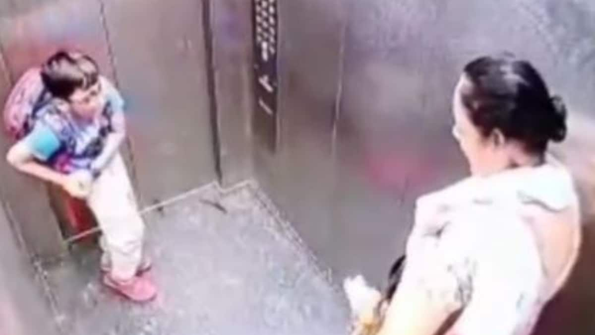 WATCH: Father of Child Bitten by Pet Dog in Ghaziabad Housing Society Lift Confronts Owner